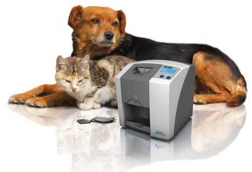 digitalröntgen skilvet cr7 katze und hund
